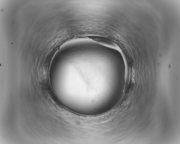 X0000088170039200705151200