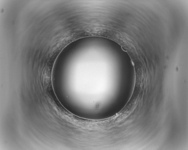 X0000088170040200705151200