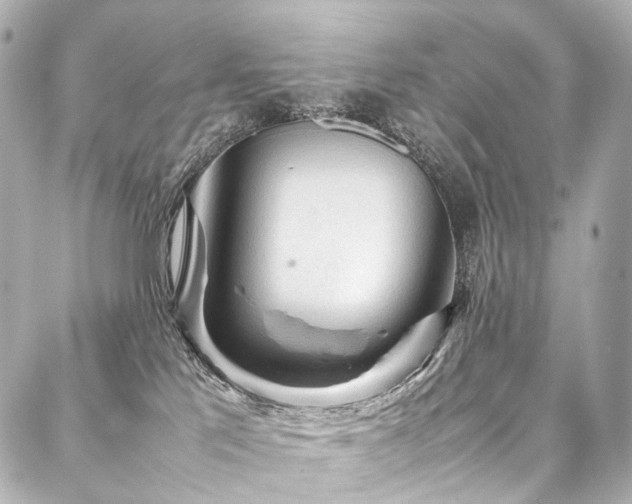 X0000088170041200705151200