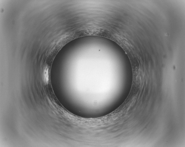 X0000088170042200705151200