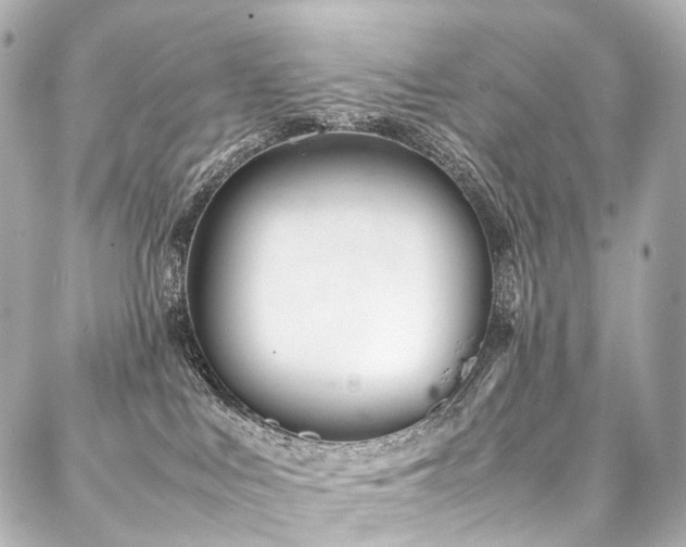 X0000088170043200705151200