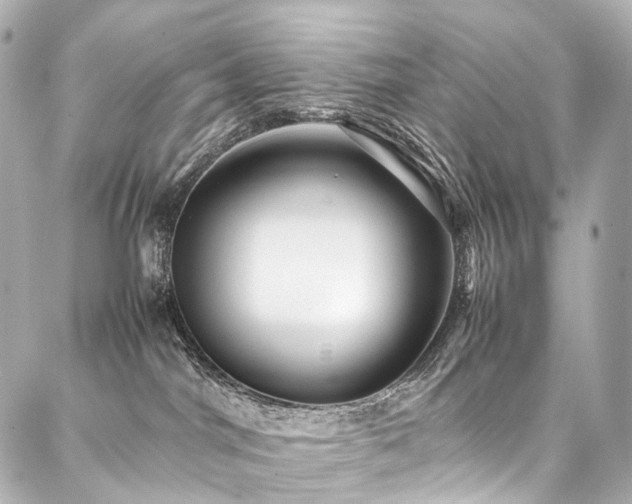 X0000088170044200705151200