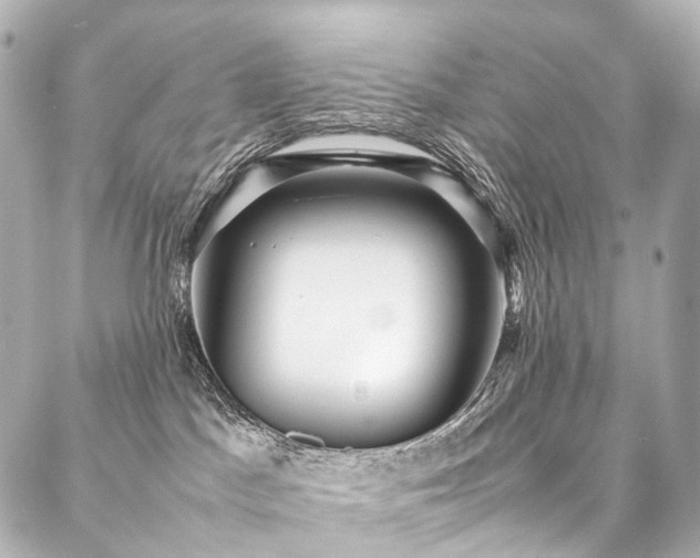 X0000088170045200705151159