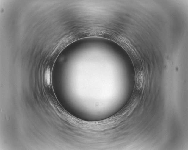 X0000088170046200705151159