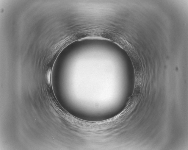 X0000088170047200705151159