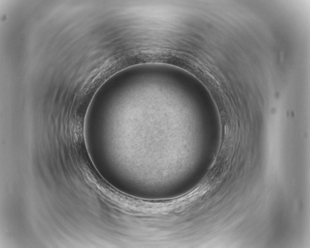 X0000088170048200705151159