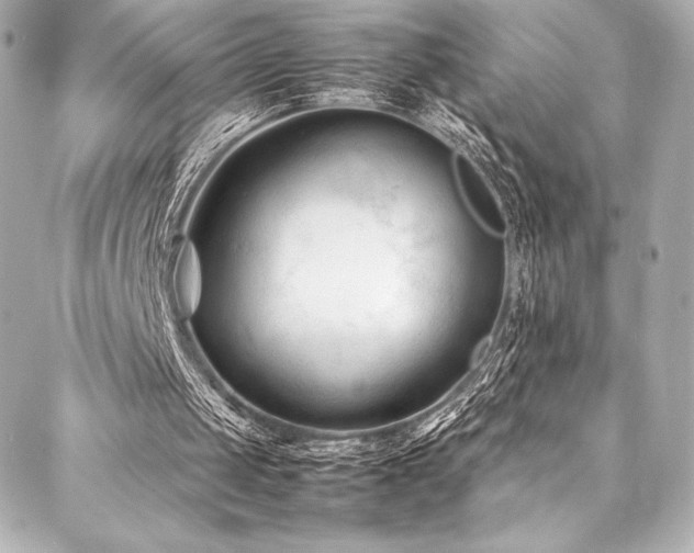 X0000088170049200705151159