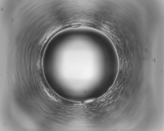 X0000088170050200705151159