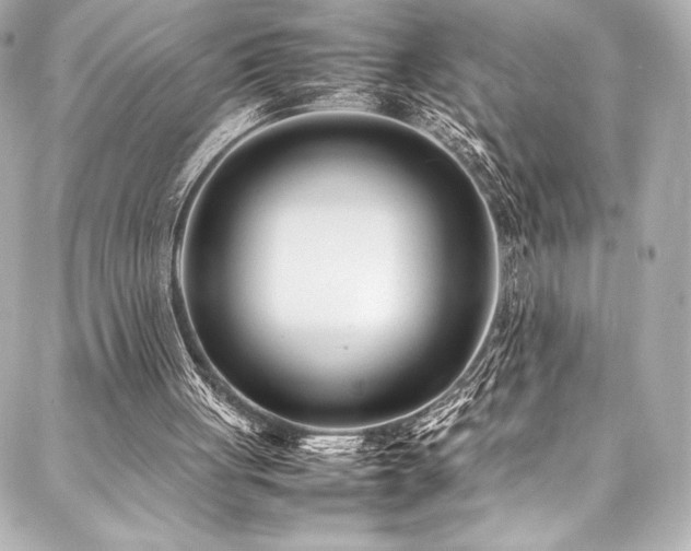 X0000088170051200705151159