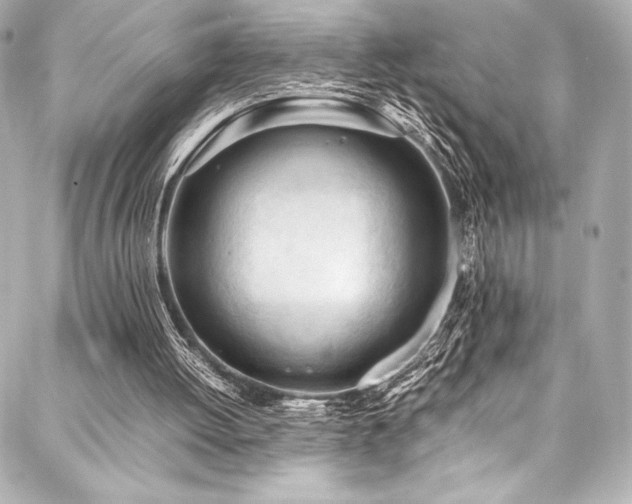 X0000088170052200705151159