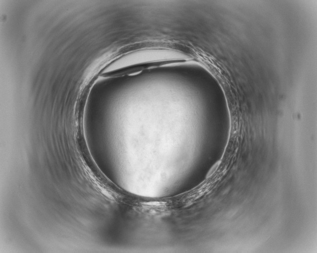 X0000088170053200705151159