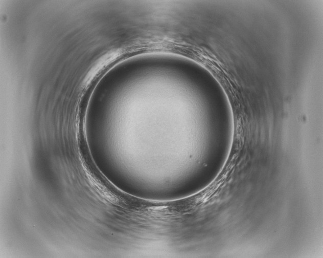 X0000088170054200705151159