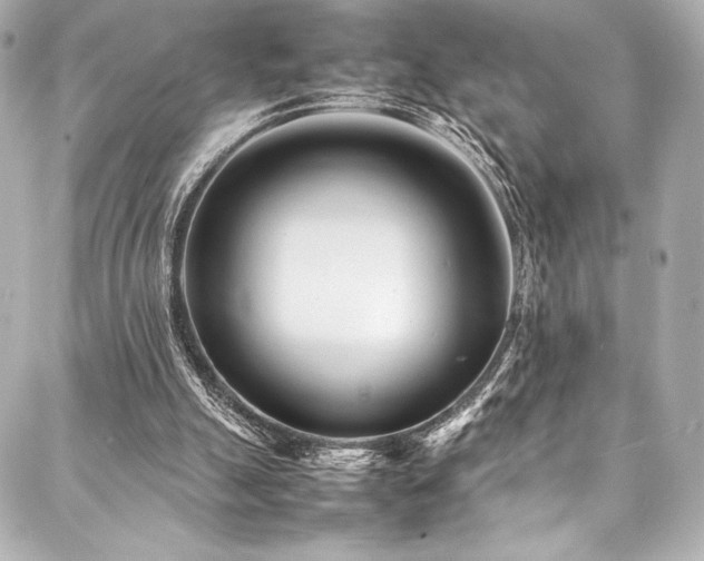 X0000088170055200705151159