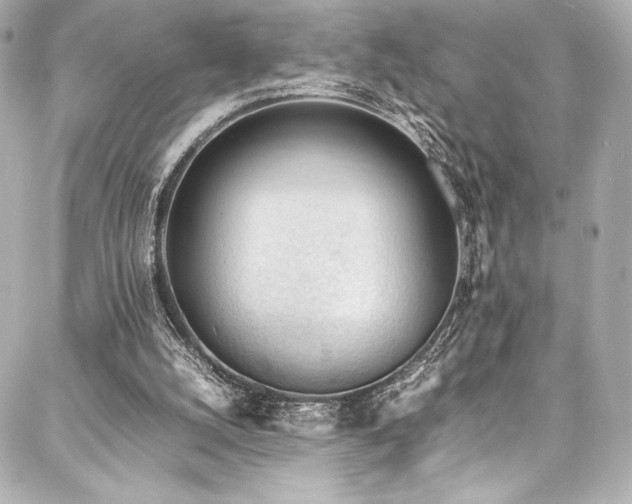 X0000088170056200705151159