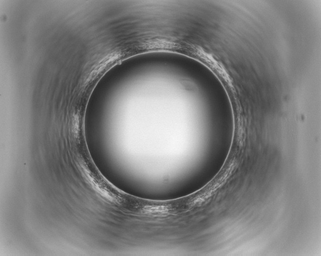 X0000088170057200705151159