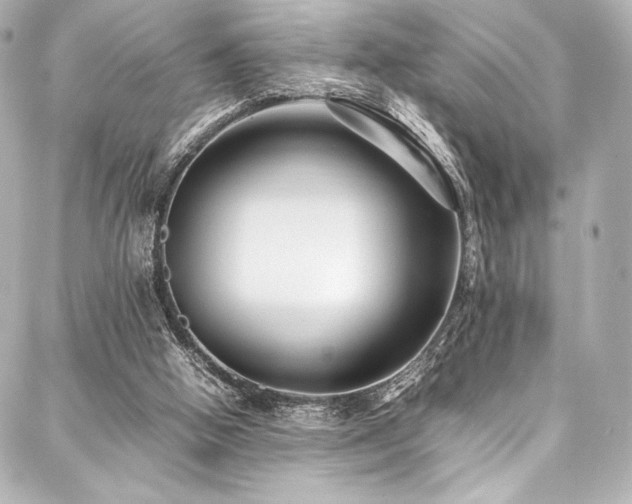 X0000088170058200705151159