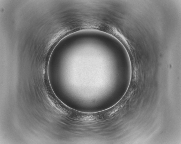 X0000088170059200705151159