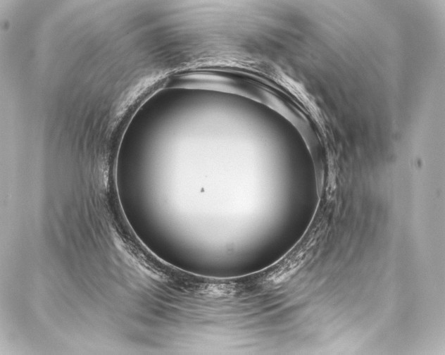 X0000088170060200705151159