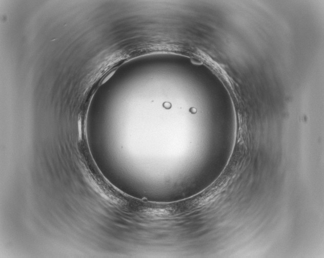 X0000088170061200705151159