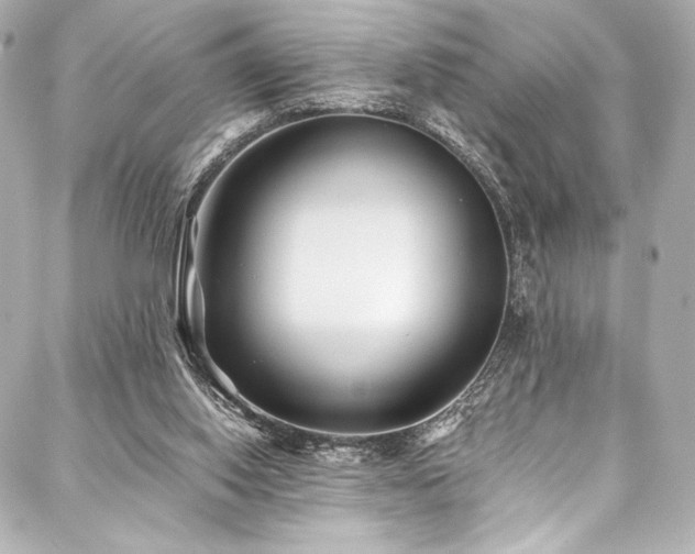 X0000088170062200705151159