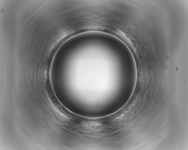 X0000088170063200705151159