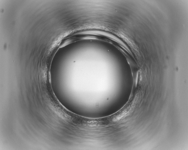 X0000088170064200705151159