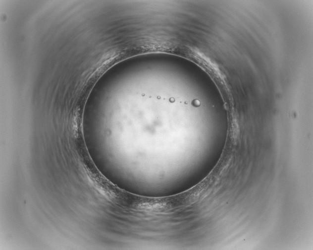 X0000088170065200705151159