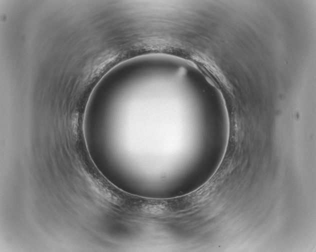 X0000088170066200705151159