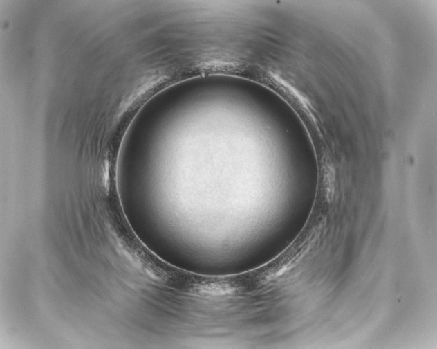 X0000088170067200705151159