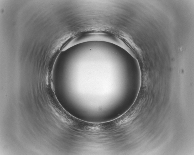 X0000088170068200705151159