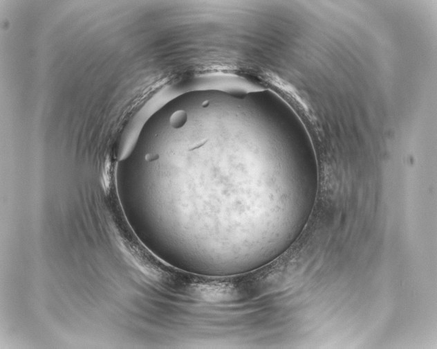 X0000088170069200705151159