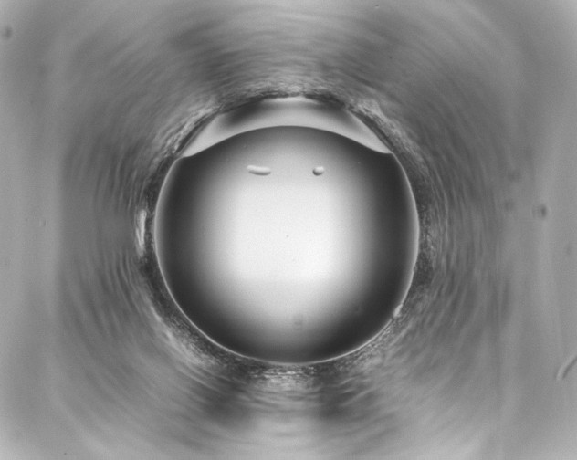 X0000088170070200705151159