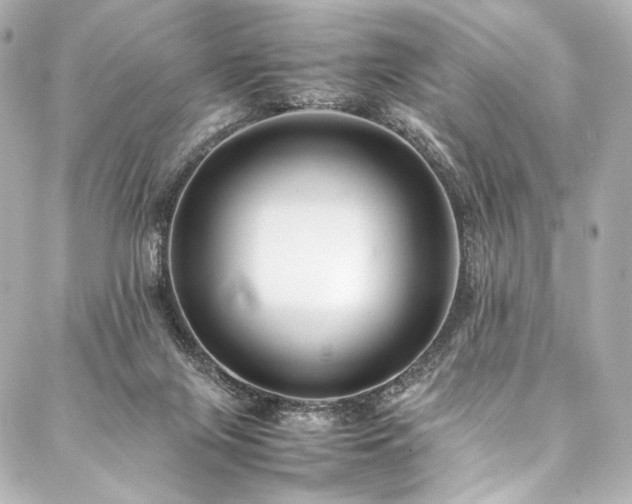 X0000088170071200705151159