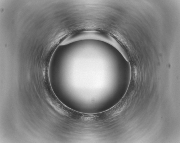 X0000088170072200705151159