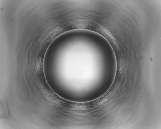 X0000088170073200705151159