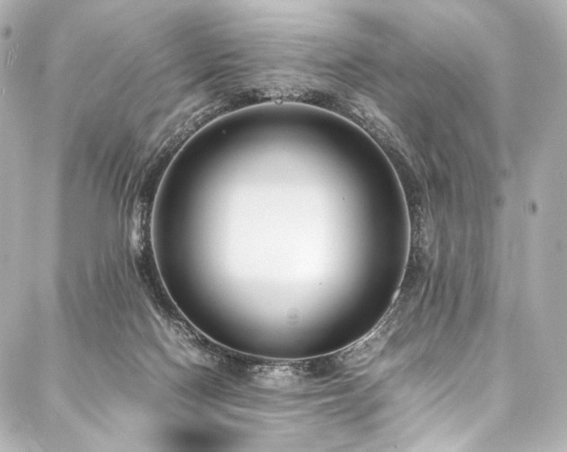 X0000088170074200705151159