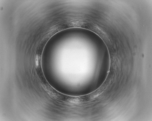 X0000088170075200705151159