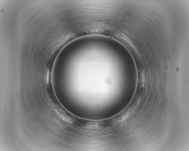 X0000088170076200705151159