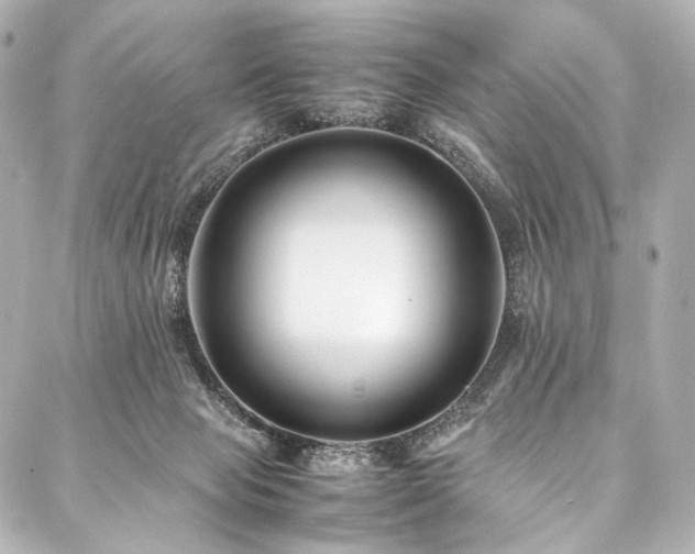 X0000088170077200705151159