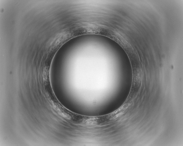 X0000088170078200705151159