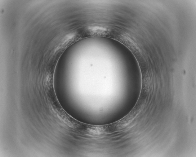 X0000088170079200705151159