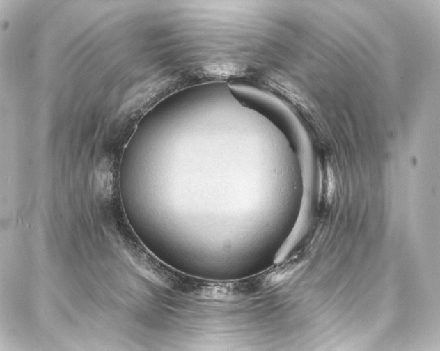 X0000088170080200705151159