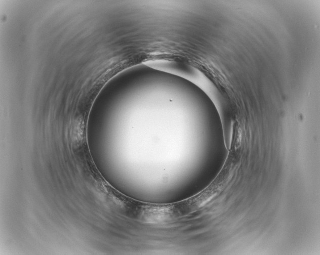 X0000088170081200705151159