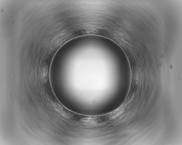 X0000088170082200705151159