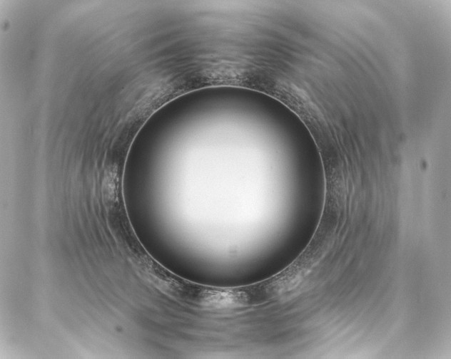 X0000088170083200705151159