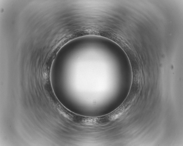 X0000088170084200705151159