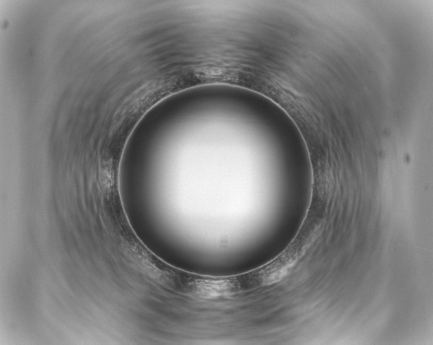 X0000088170085200705151159