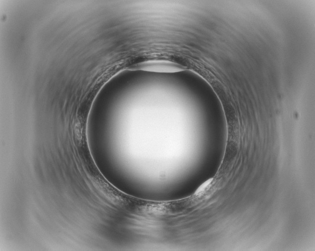 X0000088170086200705151159