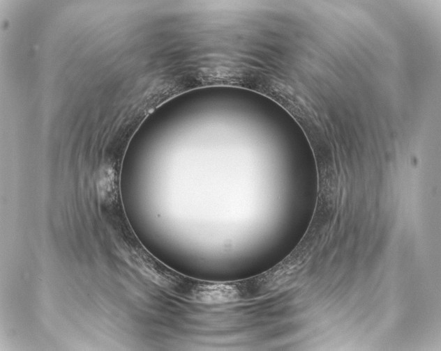 X0000088170087200705151159