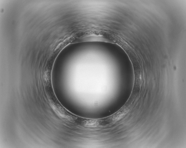 X0000088170088200705151159